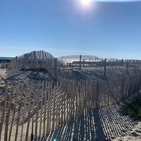 Villa Plage Les Pieds Dans L'Eau